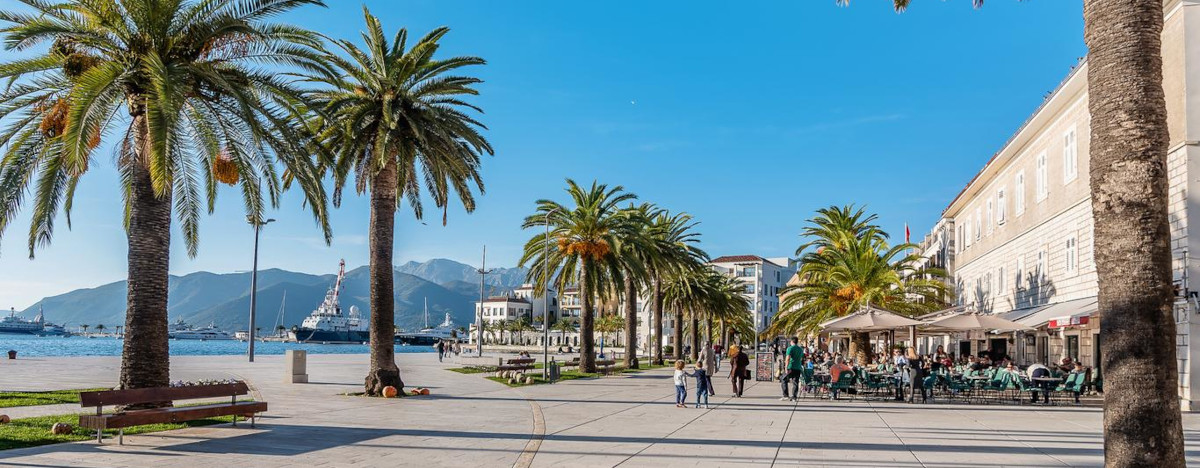 Car Hire Tivat Airport near me